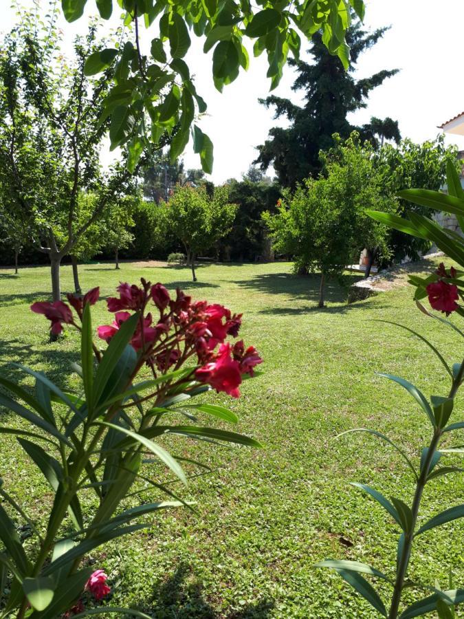 Villa George Афитос Экстерьер фото