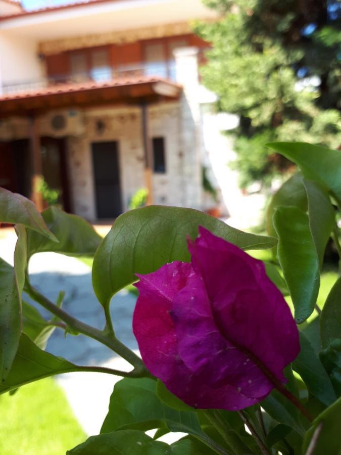 Villa George Афитос Экстерьер фото